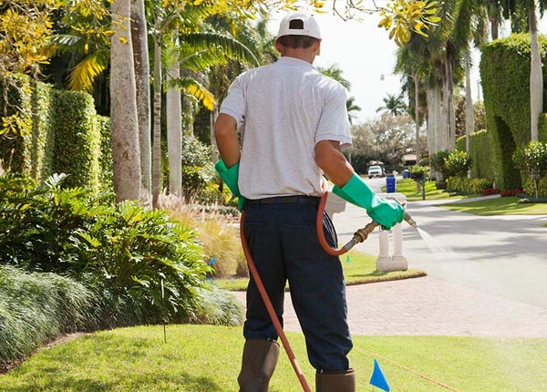 About Buchanan TN Pest Control Pros